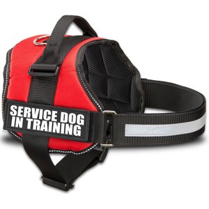 Industrial Puppy Service Dog In Training Harness