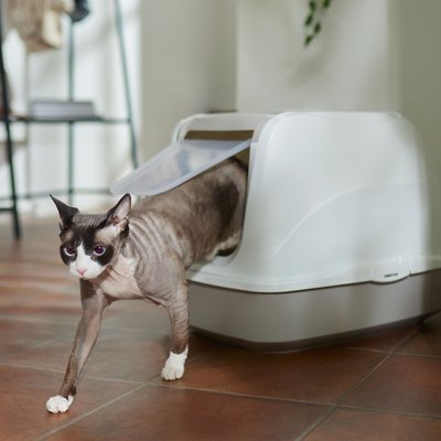 Frisco Flip Top Hooded Cat Litter Box, Gray, Large, 22-in, slide 1 of 1