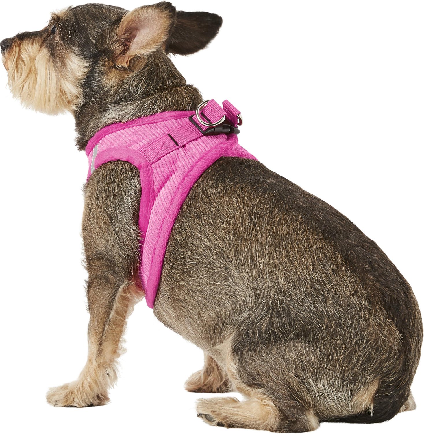 voyager corduroy dog harness