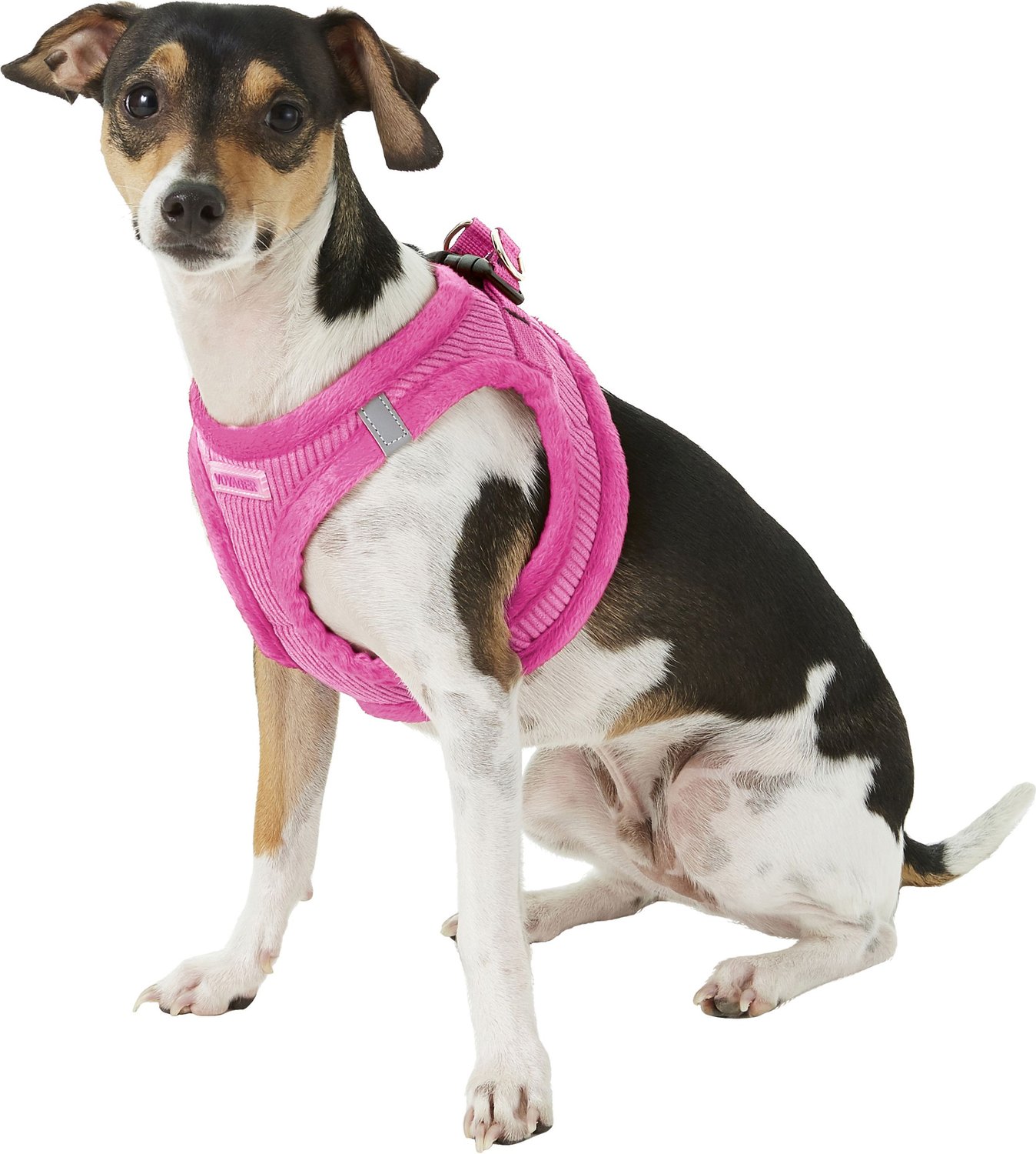 voyager corduroy dog harness