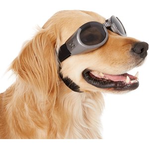 Doggles ILS Dog Goggles, Gray, Large
