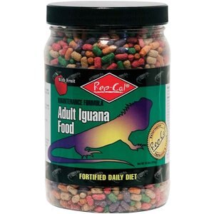 Rep-Cal Adult Iguana Food, 10-oz jar