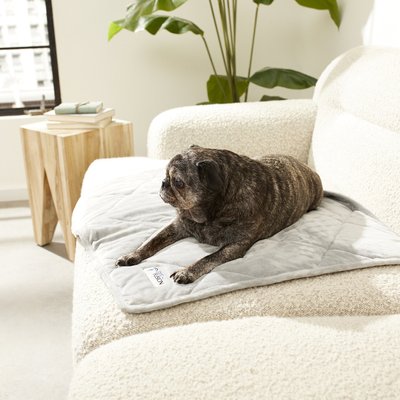 PetFusion Premium Plus Quilted Small Dog or Cat Blanket 31x27 Light Inner Fill 70GSM Reversible Gray Micro Plush. 100/% Soft Polyester