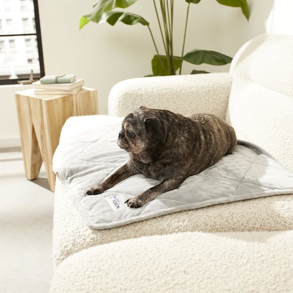 PetFusion Microplush Quilted Dog & Cat Blanket, Gray, Small slide 1 of 8