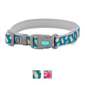 Frisco Patterned Neoprene Dog Collar, Pineapple, Medium: 14 to 20-in neck, 1-in wide