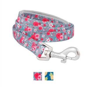 Frisco Patterned Neoprene Dog Leash, Rose, Small: 4-ft long, 5/8-in wide