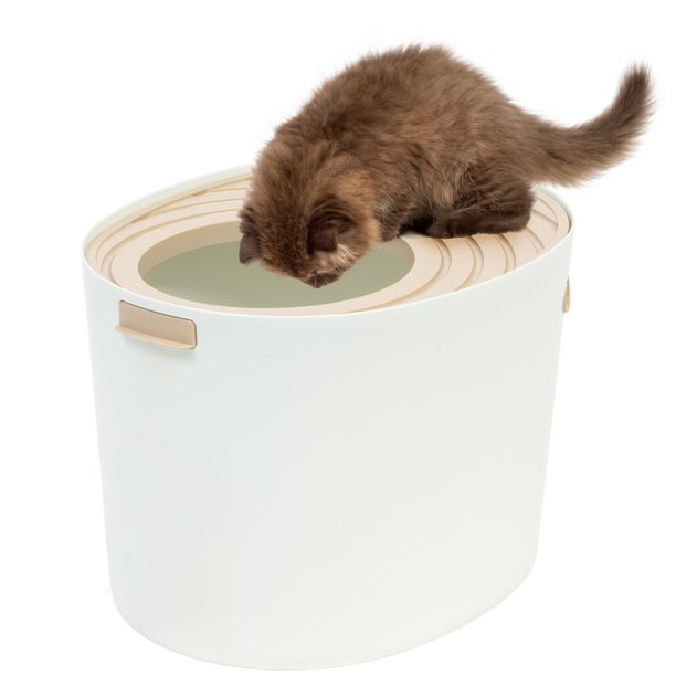 IRIS Top Entry Cat Litter Box, White/Beige, Medium