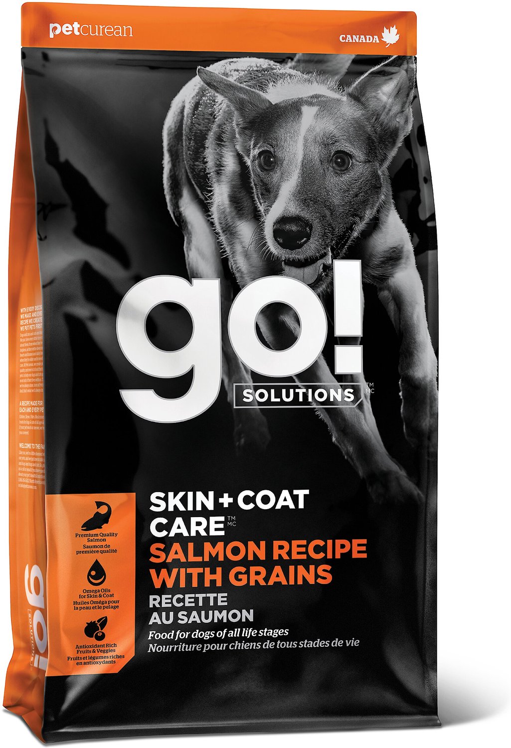 Coat Care Salmon Recipe Dry Dog Food 