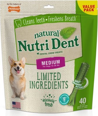 Nylabone Nutri Dent Limited Ingredients Fresh Breath Natural Dental Dog Treats, slide 1 of 1