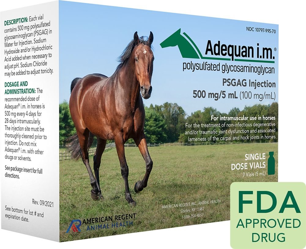 Adequan Equine Injectable for Horses 100mg/mL, 5mL Single Dose Vial