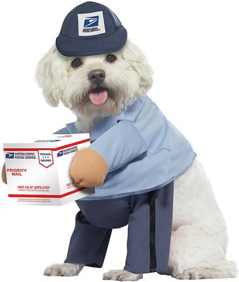 California Costumes USPS Delivery Driver Dog & Cat Costume, slide 1 of 1