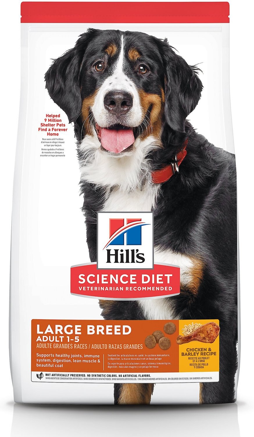 large breed dog food