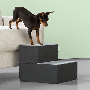 Zinus 2 Step Easy Pet Stair, Grey, X-Small