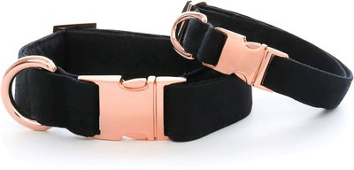The Foggy Dog Onyx Nylon Dog Collar, slide 1 of 1