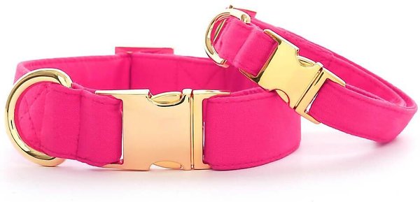 The Foggy Dog Hot Pink Nylon Dog Collar, Gold, X-Small: 8 to 12-in neck, 5/8-in wide slide 1 of 4