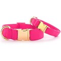The Foggy Dog Hot Pink Nylon Dog Collar, Gold, X-Small: 8 to 12-in neck, 5/8-in wide