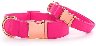 The Foggy Dog Hot Pink Nylon Dog Collar, slide 1 of 1