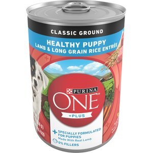 Purina ONE SmartBlend Classic Ground Healthy Puppy Lamb & Long Grain Rice Entree Canned Dog Food, 13-oz, case of 12