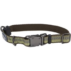 K9 Explorer Reflective Dog Collar, Fern, 8 to 12-in neck, 5/8-in wide
