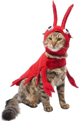 Frisco Red Lobster Dog & Cat Costume, slide 1 of 1