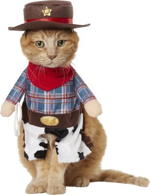 Frisco Front Walking Cowboy Dog & Cat Costume, slide 1 of 1