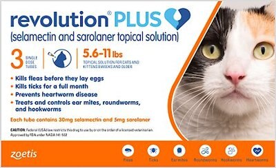 Revolution Plus Topical Solution For Cats 5 6 11 Lbs 3 Treatment Orange Box Chewy Com