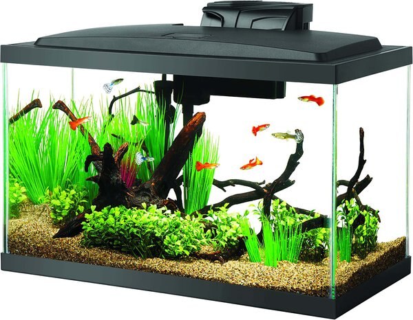 Aqueon LED Fish Aquarium Starter Kit, 10 gallon slide 1 of 10