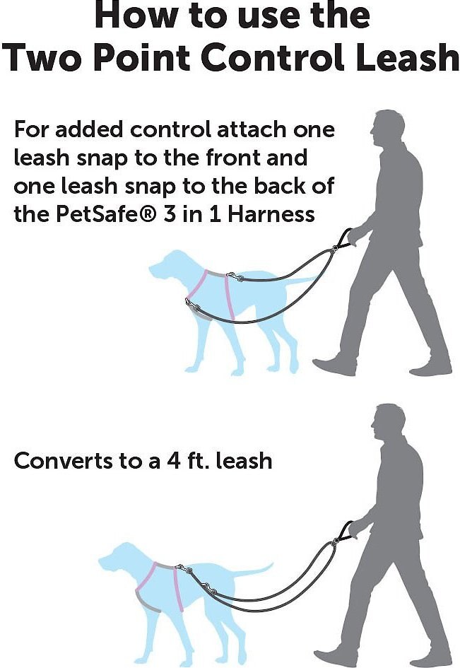 1 foot dog leash