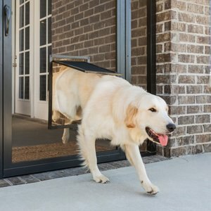 PetSafe Window & Porch Screen Pet Door, Large