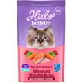 Halo Holistic Wild Salmon & Whitefish Recipe Grain-Free Healthy Weight Indoor Cat Dry Cat Food, 10-lb bag