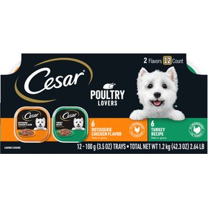 Cesar Poultry Lovers Turkey & Chicken Filets in Gravy Multipack Wet Dog Food Trays, 3.5-oz, case of 12