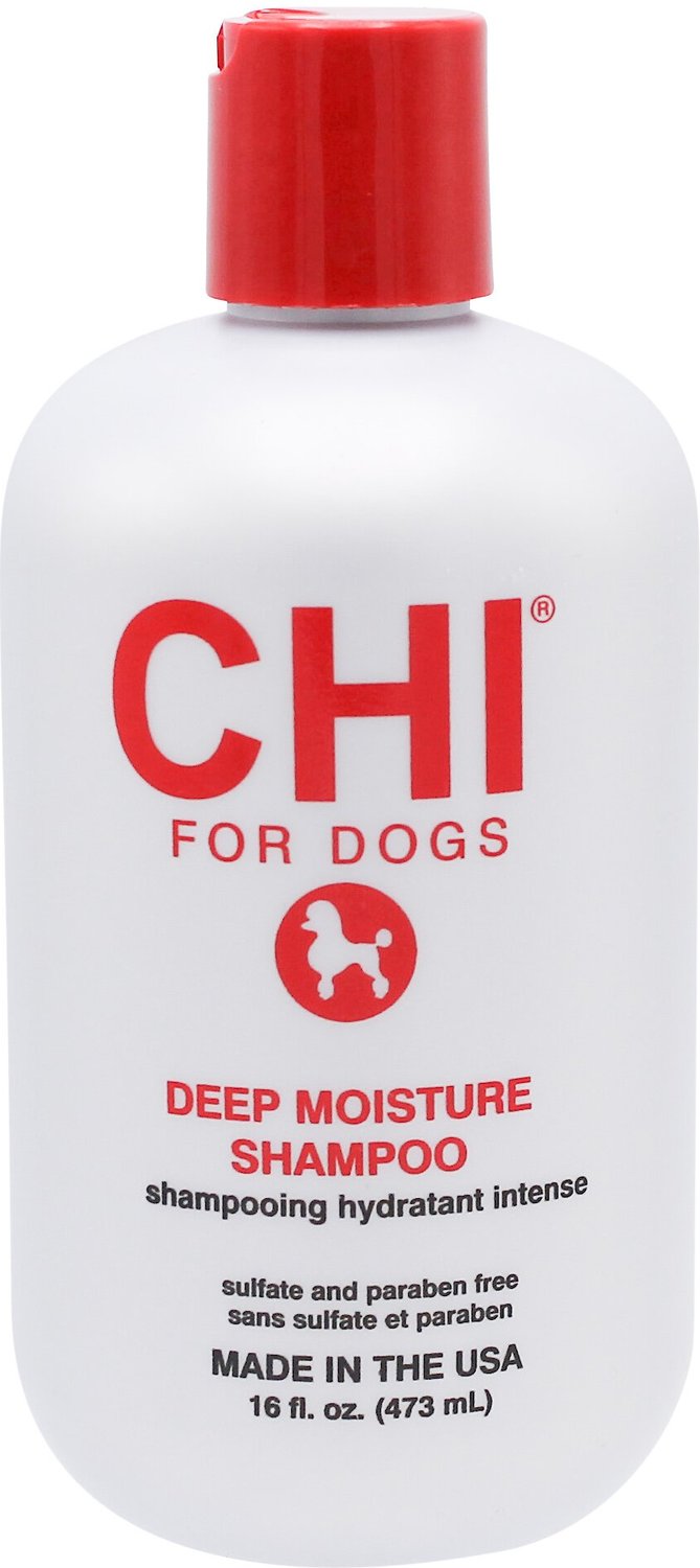 chi for dogs oatmeal shampoo