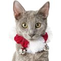 Frisco Jingle Bells Dog & Cat Holiday Collar with Bells, X-Small/Small