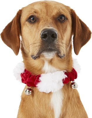 Frisco Jingle Bells Dog & Cat Holiday Collar with Bells, slide 1 of 1