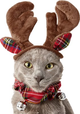 Frisco Holiday Antler Headband & Bell Collar Dog & Cat Costume, slide 1 of 1