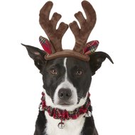 Frisco Holiday Antler Headband & Bell Collar Dog & Cat Costume