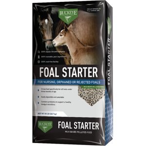 Buckeye Nutrition Foal Starter Milk-Based Pelleted Horse Feed, 50-lb bag
