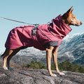Hurtta Expedition Insulated Dog Parka, Beetroot, 26-in