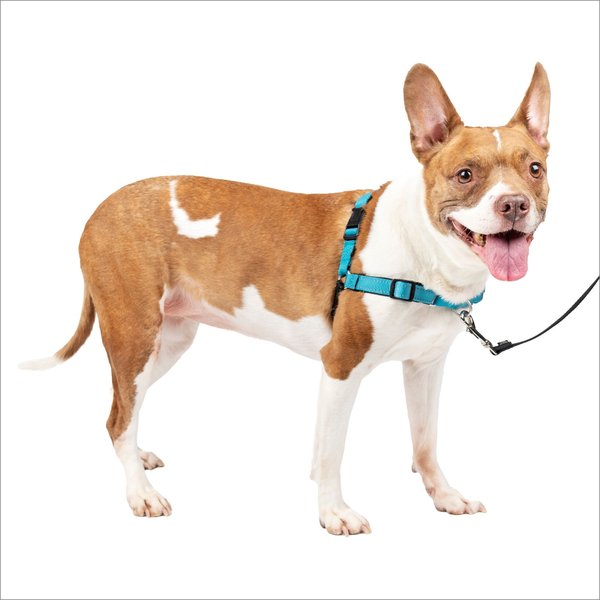 PetSafe Deluxe Easy Walk Nylon Reflective No Pull Dog Harness, Ocean, Medium: 23 to 33-in chest slide 1 of 8
