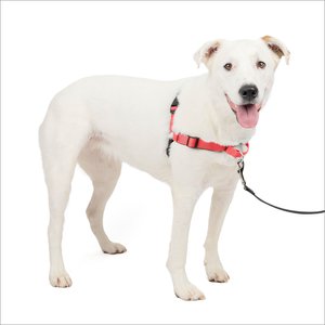 PetSafe Deluxe Easy Walk Nylon Reflective No Pull Dog Harness, Rose, Medium/Large: 24.5 to 34-in chest