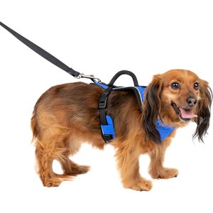 PetSafe EasySport Nylon Reflective Back Clip Dog Harness, Blue, X-Small: 16 to 22-in chest
