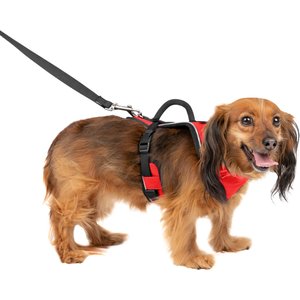 PetSafe EasySport Nylon Reflective Back Clip Dog Harness, Red, X-Small: 16 to 22-in chest