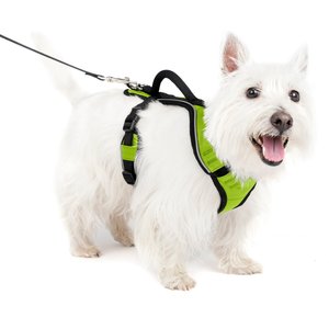 PetSafe EasySport Nylon Reflective Back Clip Dog Harness, Apple, Small: 21 to 27-in chest