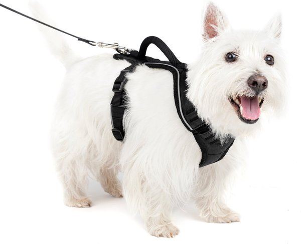 PetSafe EasySport Nylon Reflective Back Clip Dog Harness, Black, Small: 21 to 27-in chest slide 1 of 11