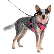 PetSafe EasySport Nylon Reflective Back Clip Dog Harness