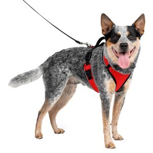 PetSafe EasySport Nylon Reflective Back Clip Dog Harness, Red, Medium: 26 to 32-in chest