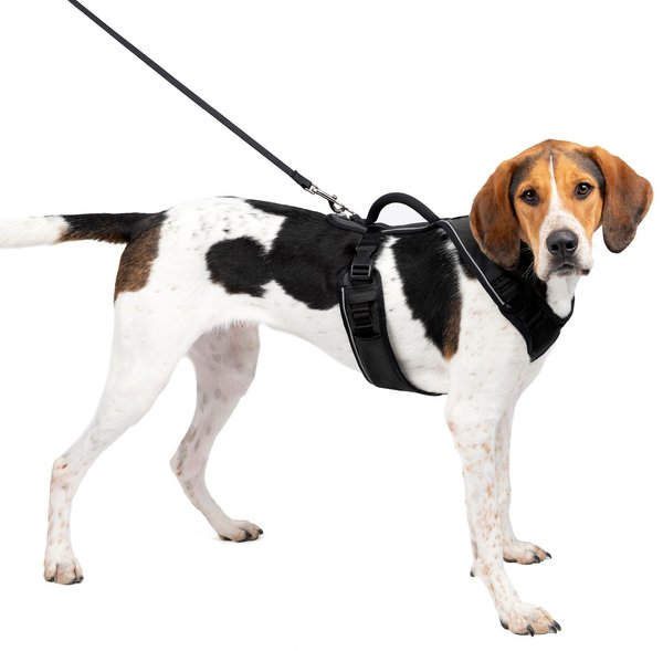 PetSafe EasySport Nylon Reflective Back Clip Dog Harness, Black, Large: 29 to 43-in chest slide 1 of 11