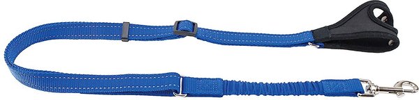 PetSafe Sport Nylon Bungee Reflective Dog Leash, Royal Blue, 4.5-ft long, 3/4-in wide slide 1 of 4