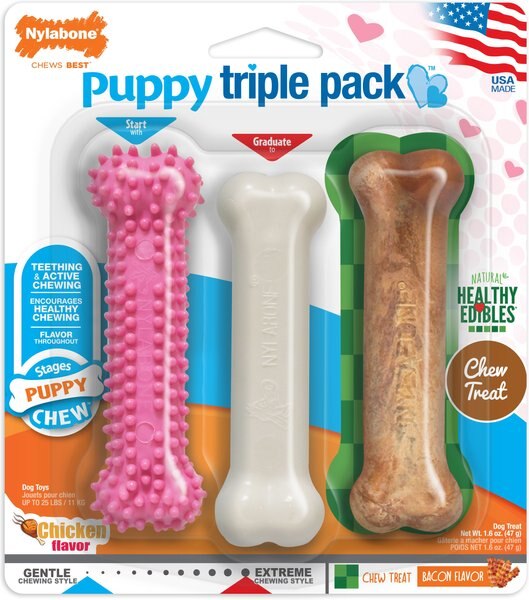 Nylabone Puppy Chew Chicken, Lamb & Apple Flavored Puppy Chew Toy, Pink, Regular slide 1 of 11