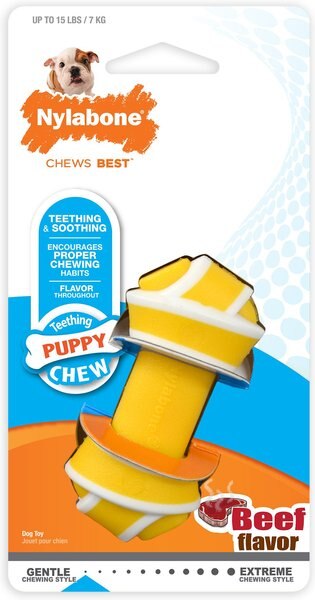Nylabone Puppy Teething Rawhide Alternative Knot Puppy Chew Toy, Petite slide 1 of 10